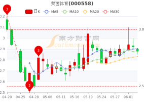 莱茵体育股票历史行情分析，从起步到波动的投资之旅