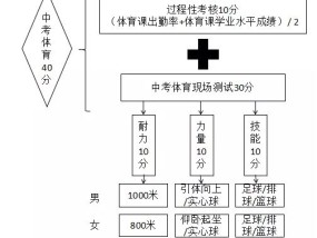 体育中学的申办方式，从规划到落地的全面指南