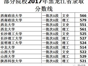 体育四项填报指南，如何科学选择与规划