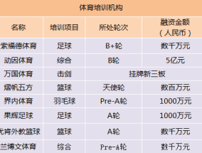 宁德体育培训机构费用解析，如何选择性价比高的培训课程？