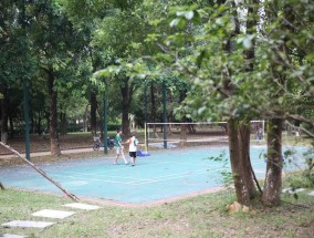 黄阁体育公园快餐，城市绿洲中的美食与健康之旅