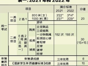 常见体育项目分类及其特点分析