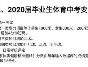 科学组建体育中考队方案，提升学生体能与应试能力的双赢策略