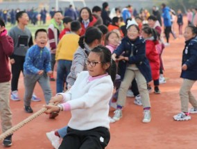 小学体育嘉年华，活力与梦想的盛宴