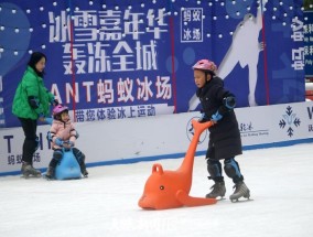 贵阳体育馆有滑冰场吗？探索贵阳的冰雪运动新天地