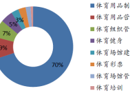 体育行业前景分析，机遇与挑战并存