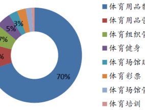 体育行业前景分析，机遇与挑战并存