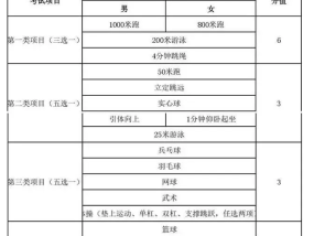 体育中考双杠训练计划，全面提升力量与技巧